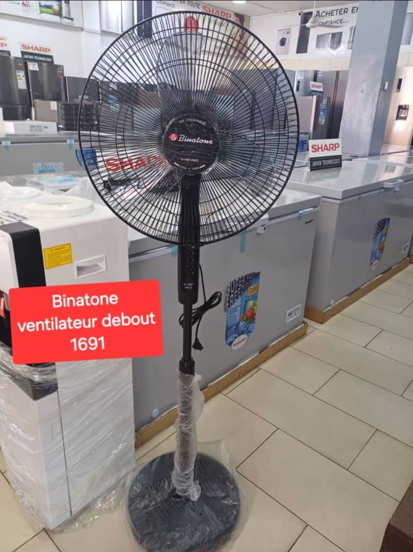 Binatone ventilayeur Debout